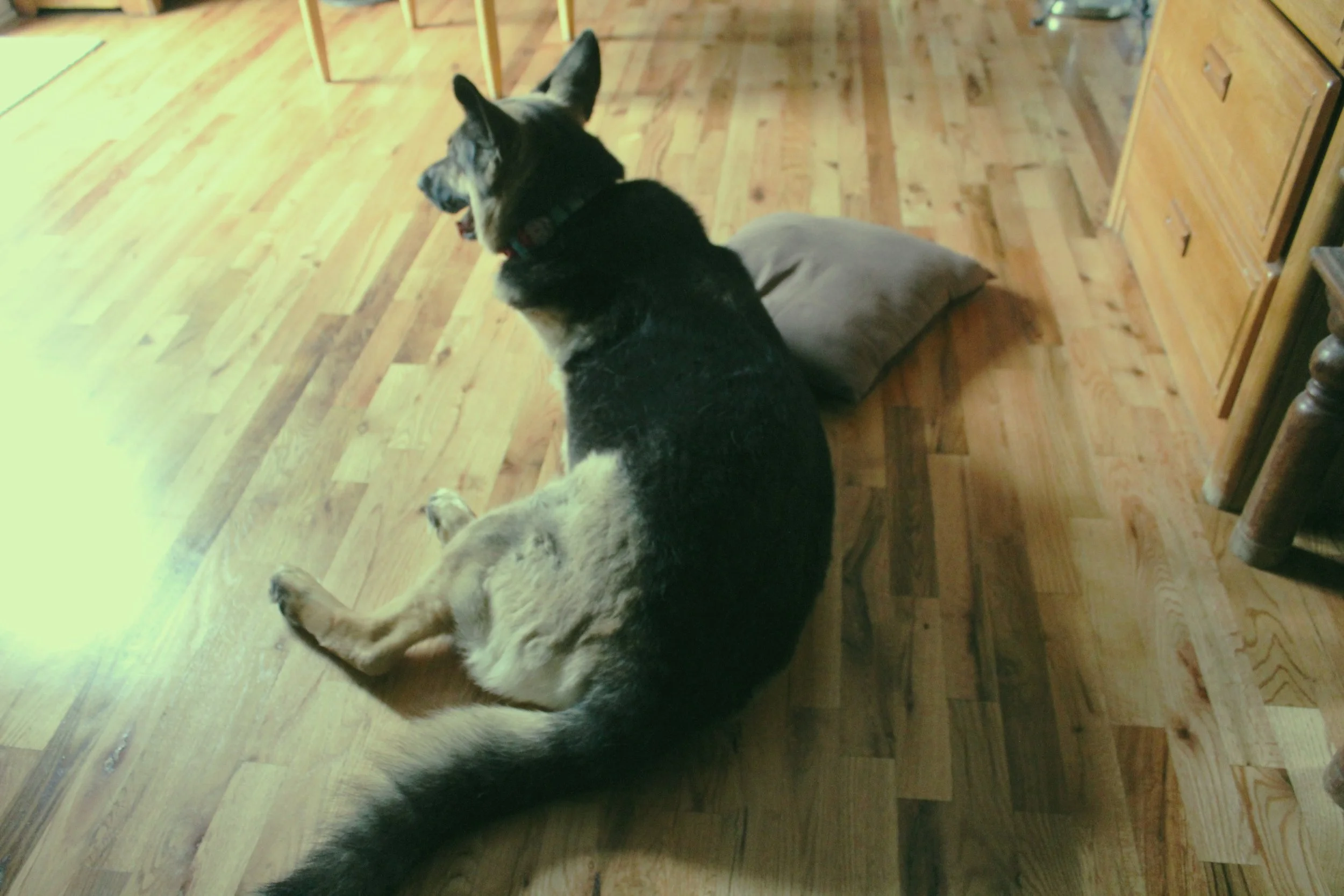 Studio mate