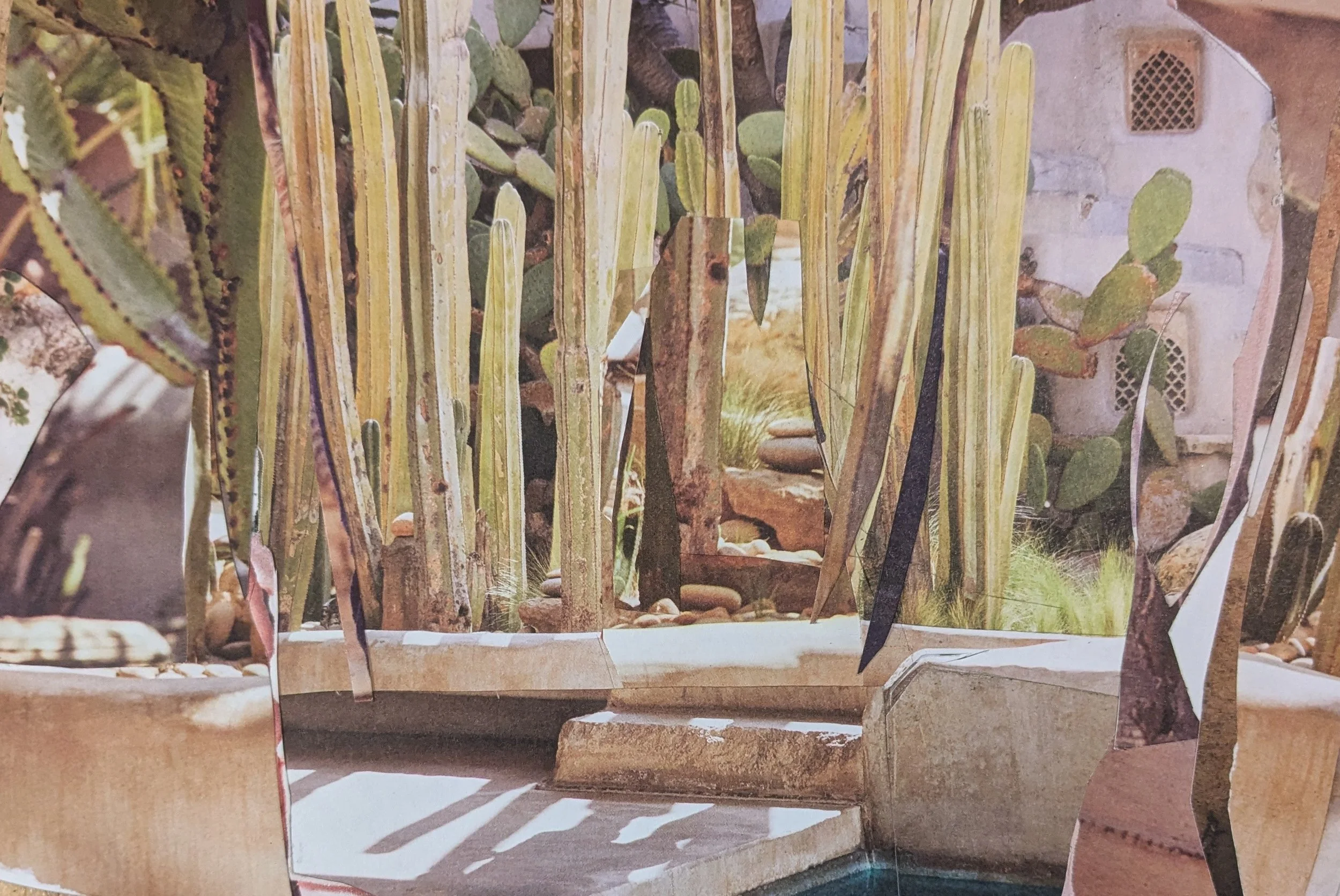 Un jardín de nopáles