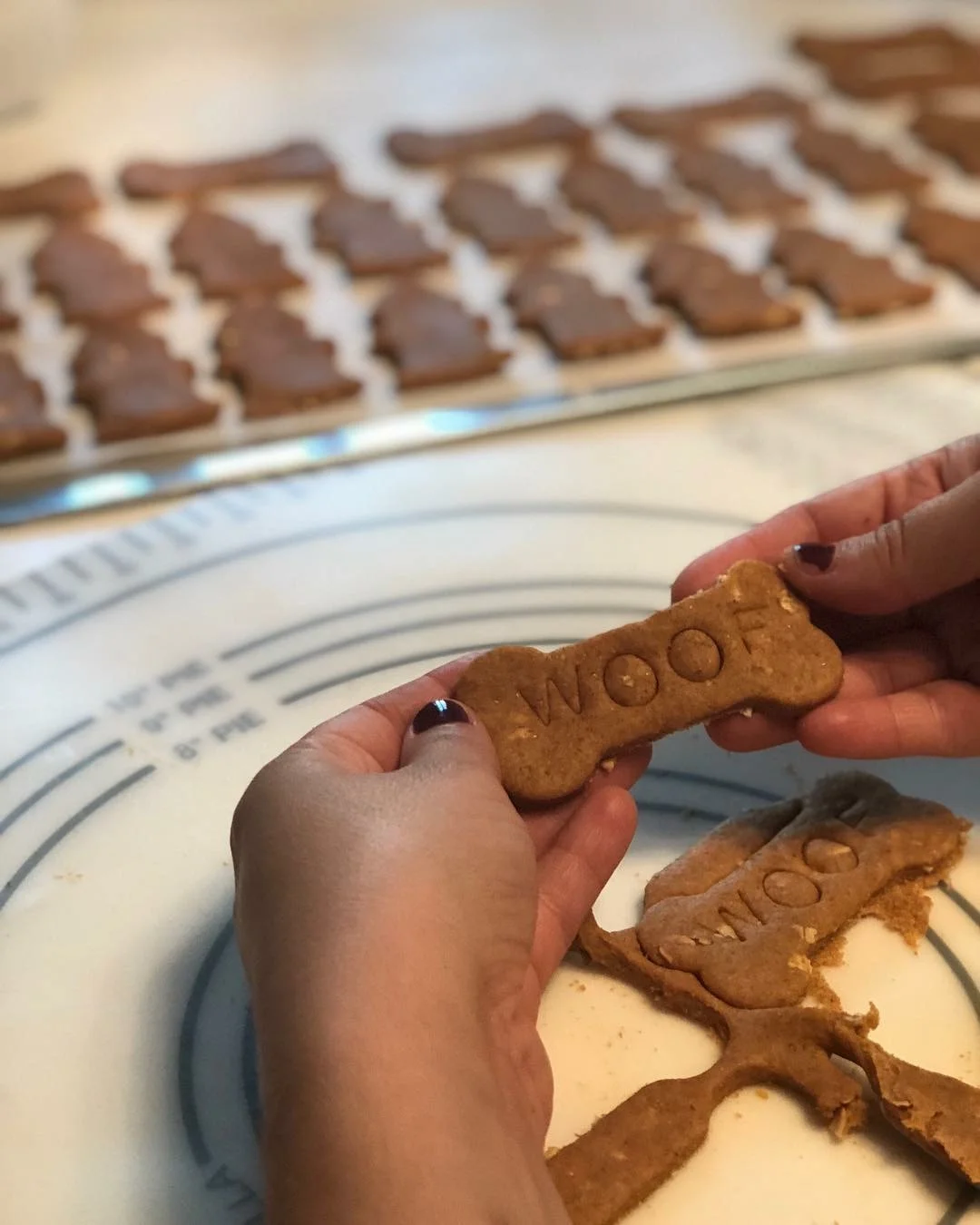 905EB9ED-E480-40C8-A0DA-D29BE625092F - # Tentaclesgoldman.jpeg