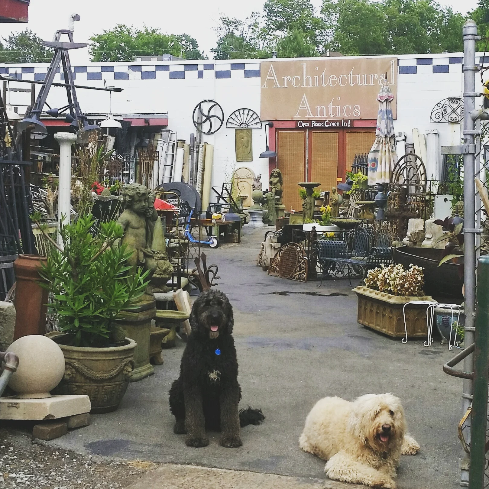 Architectural Antics