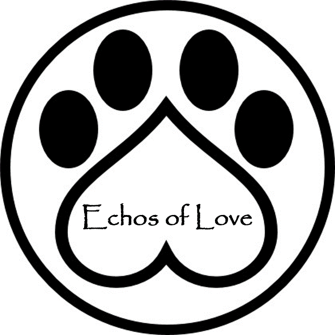 Echos of Love
