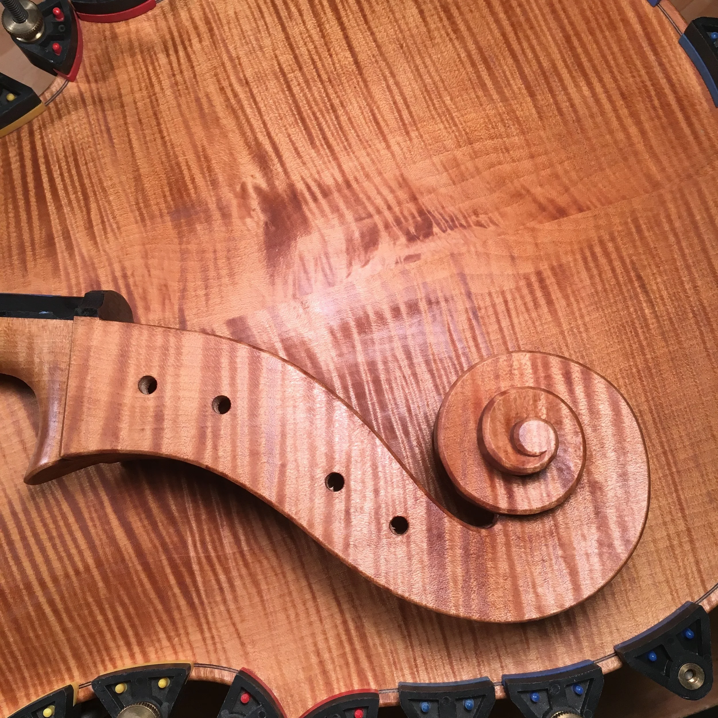 Kelvin Scott Violins