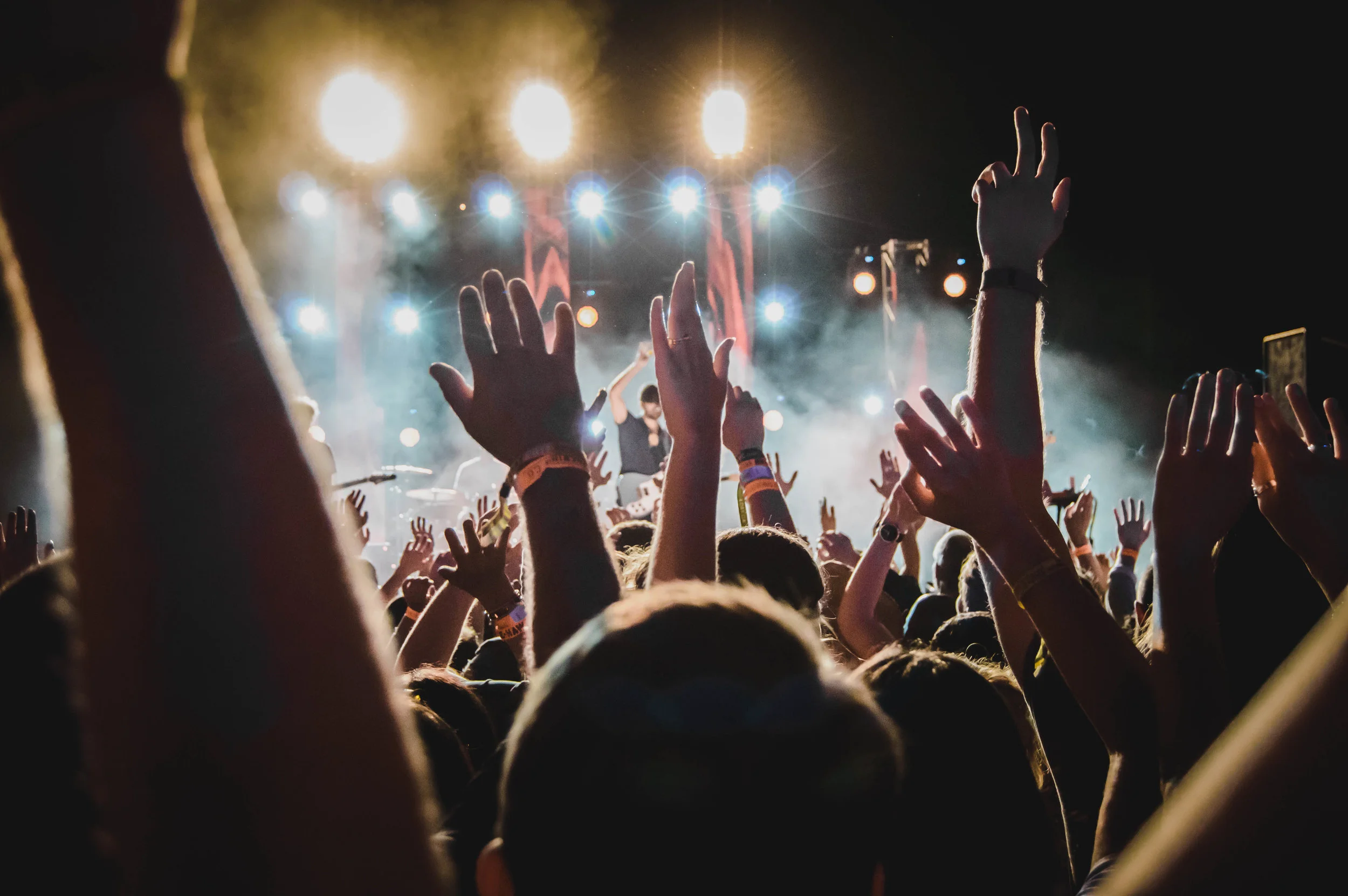 15 Reasons to Come to Rhythm N' Blooms