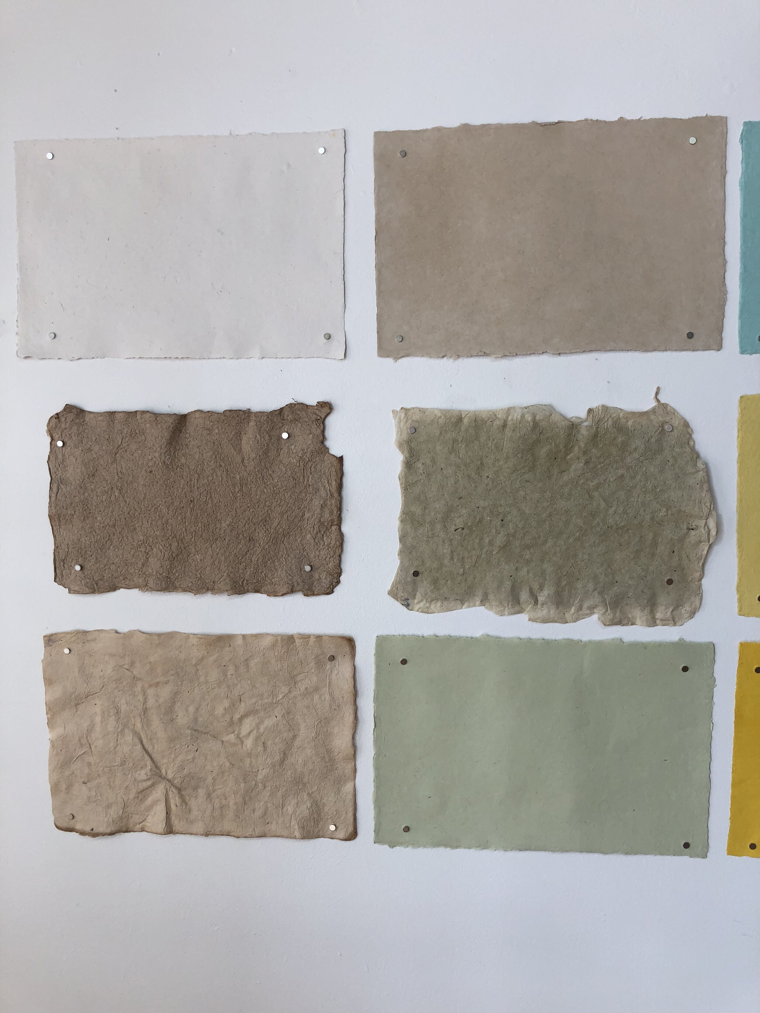 Bruce Bunting Art 3.jpeg