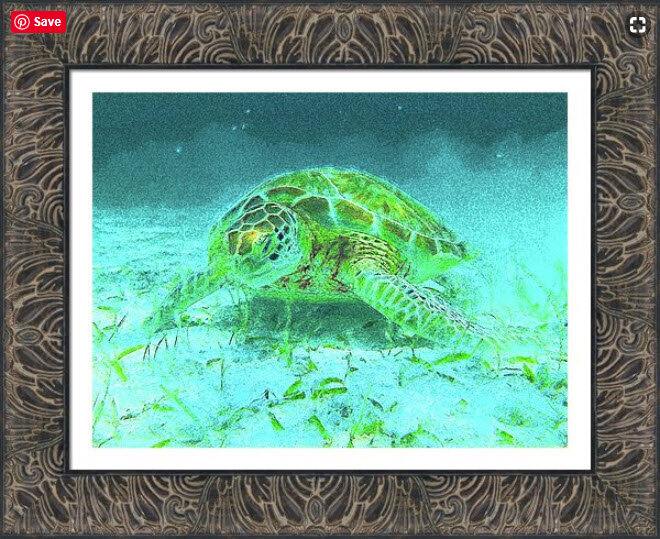 Island Hopper Art 3.jpg