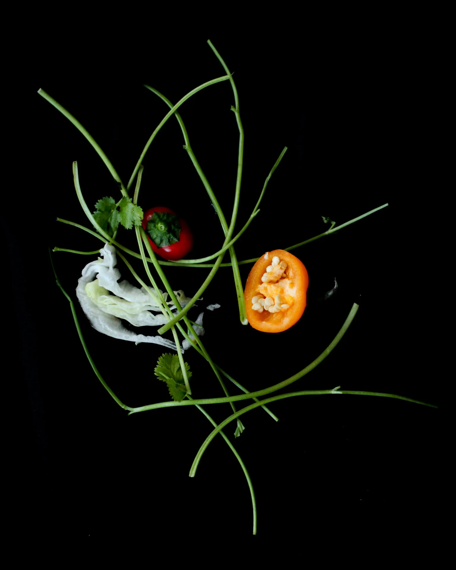 Jalynn Baker Photography 2.jpg