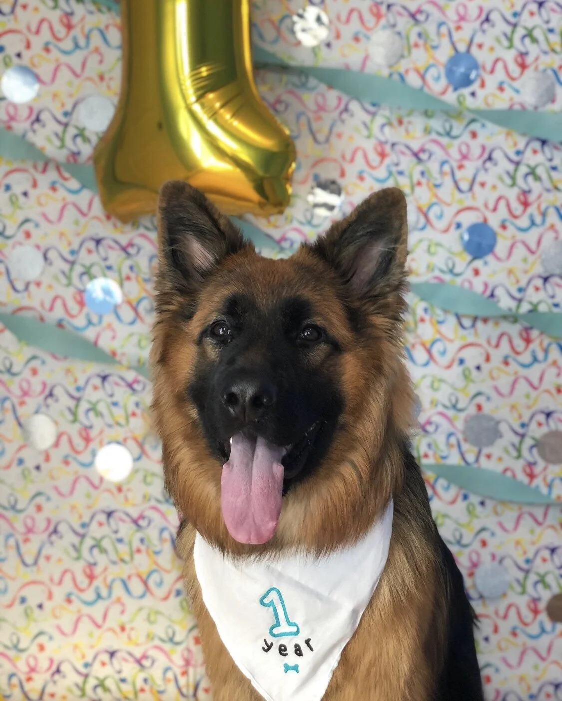 cliff_1stbirthday - Kaleigh Veca.jpg