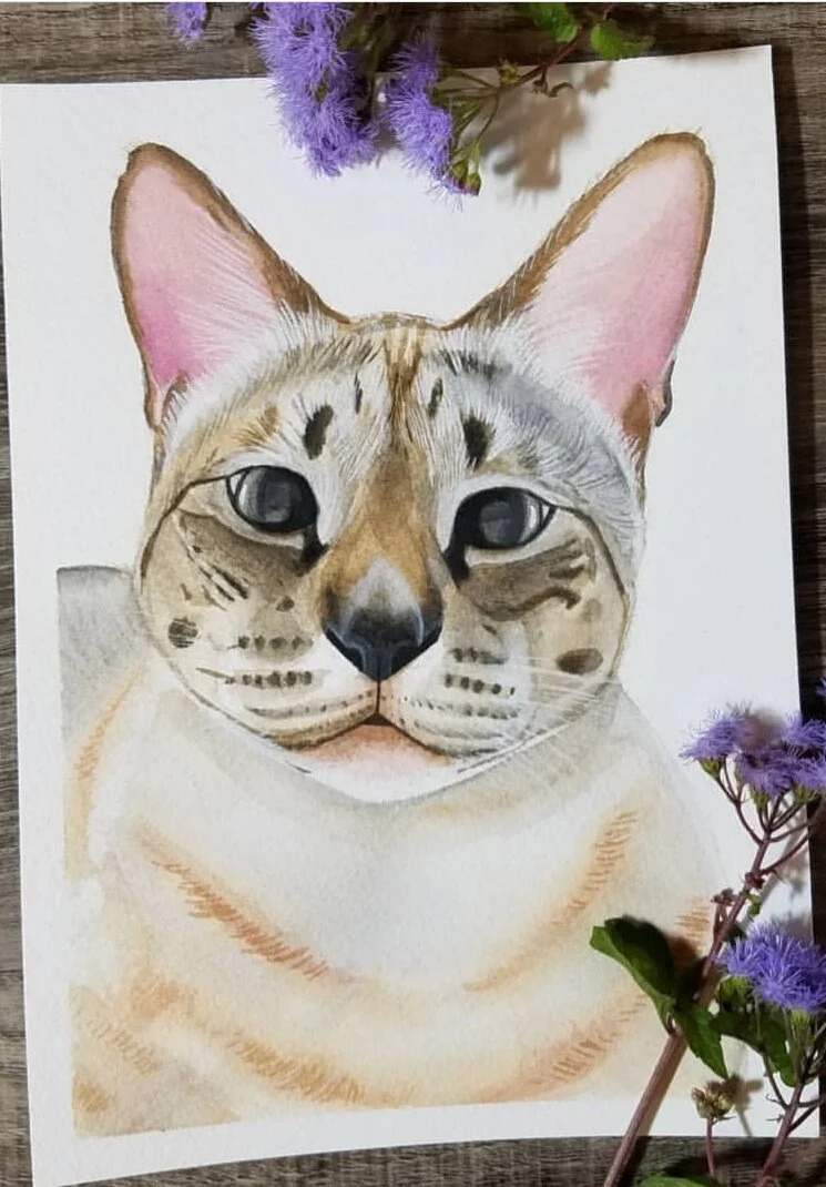 The Enchanted Mountain