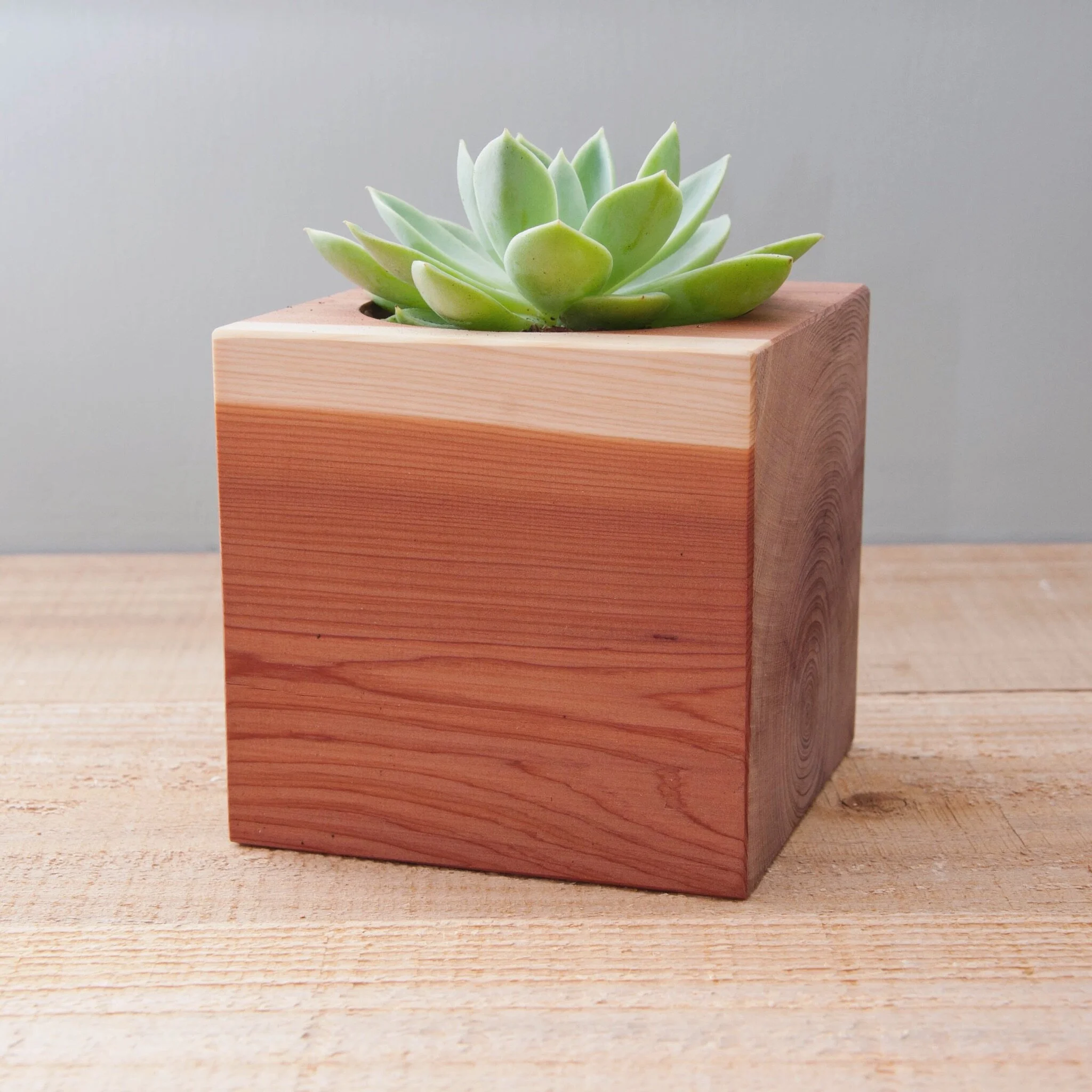 174917 - Becky Coleman.jpeg