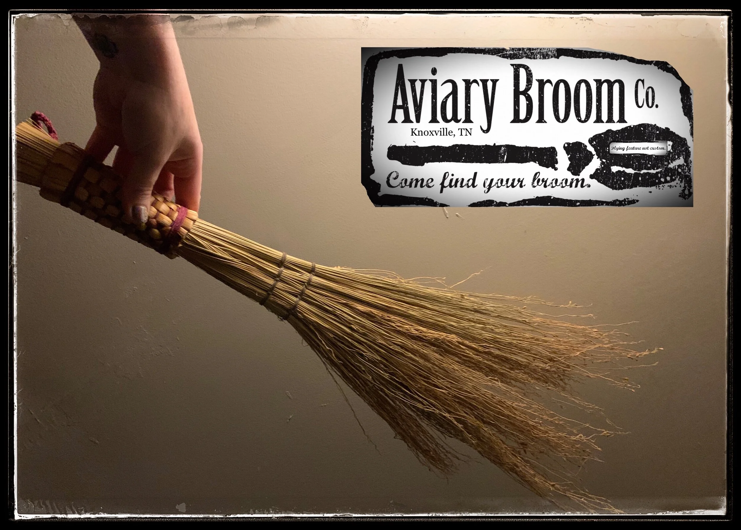 CD9BBC04-A5A6-4125-A789-D7211020B896 - amelia Galvas.jpeg