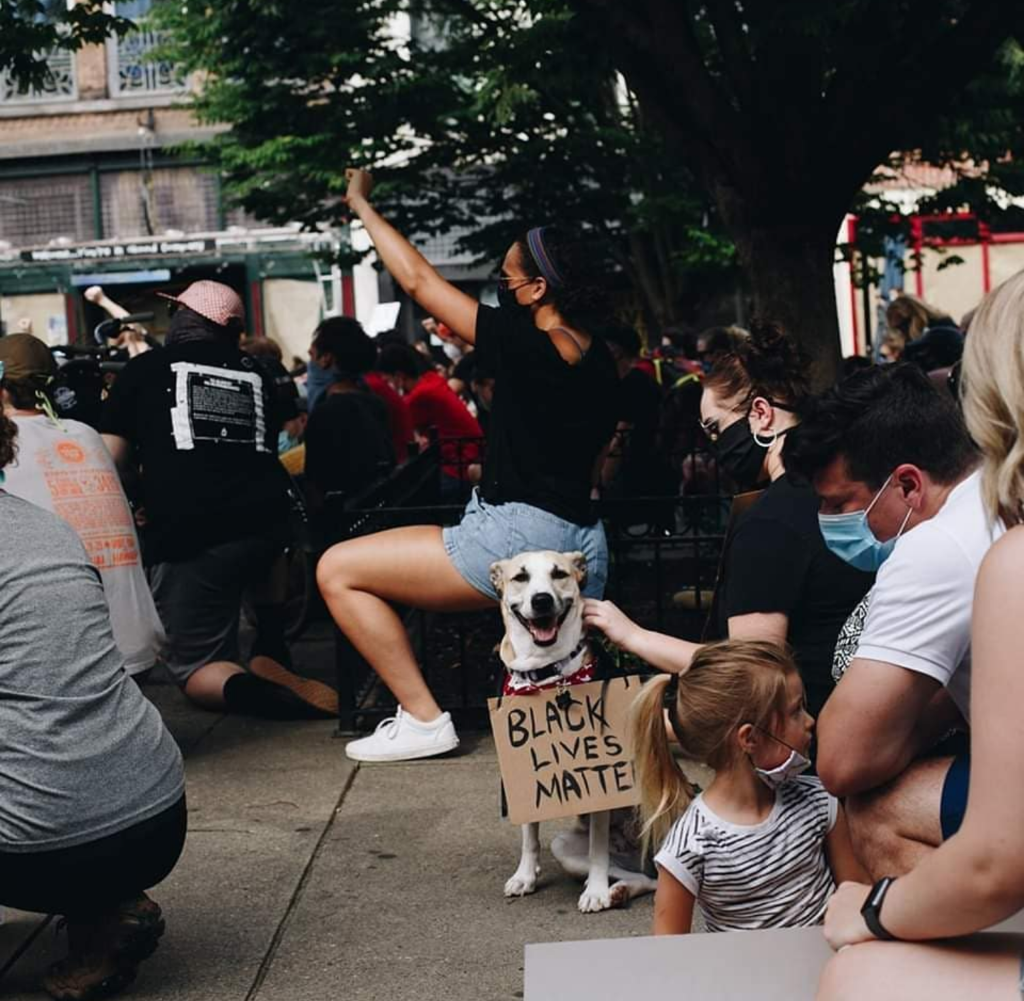 Screenshot_20200813-141949 - Belleza Team.png