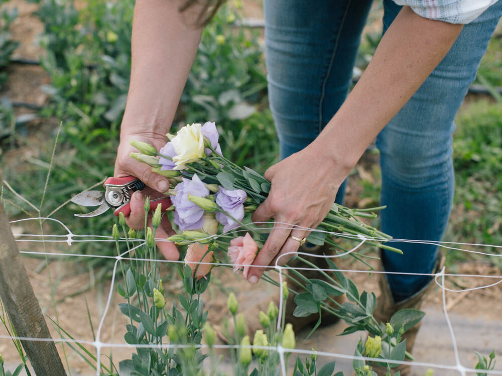 untitled-6857 - Susie Kawar.jpg