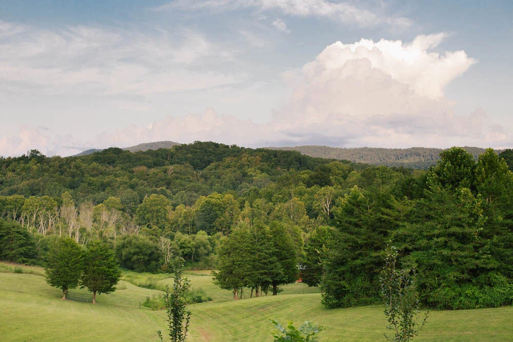 untitled-6869 - Susie Kawar.jpg