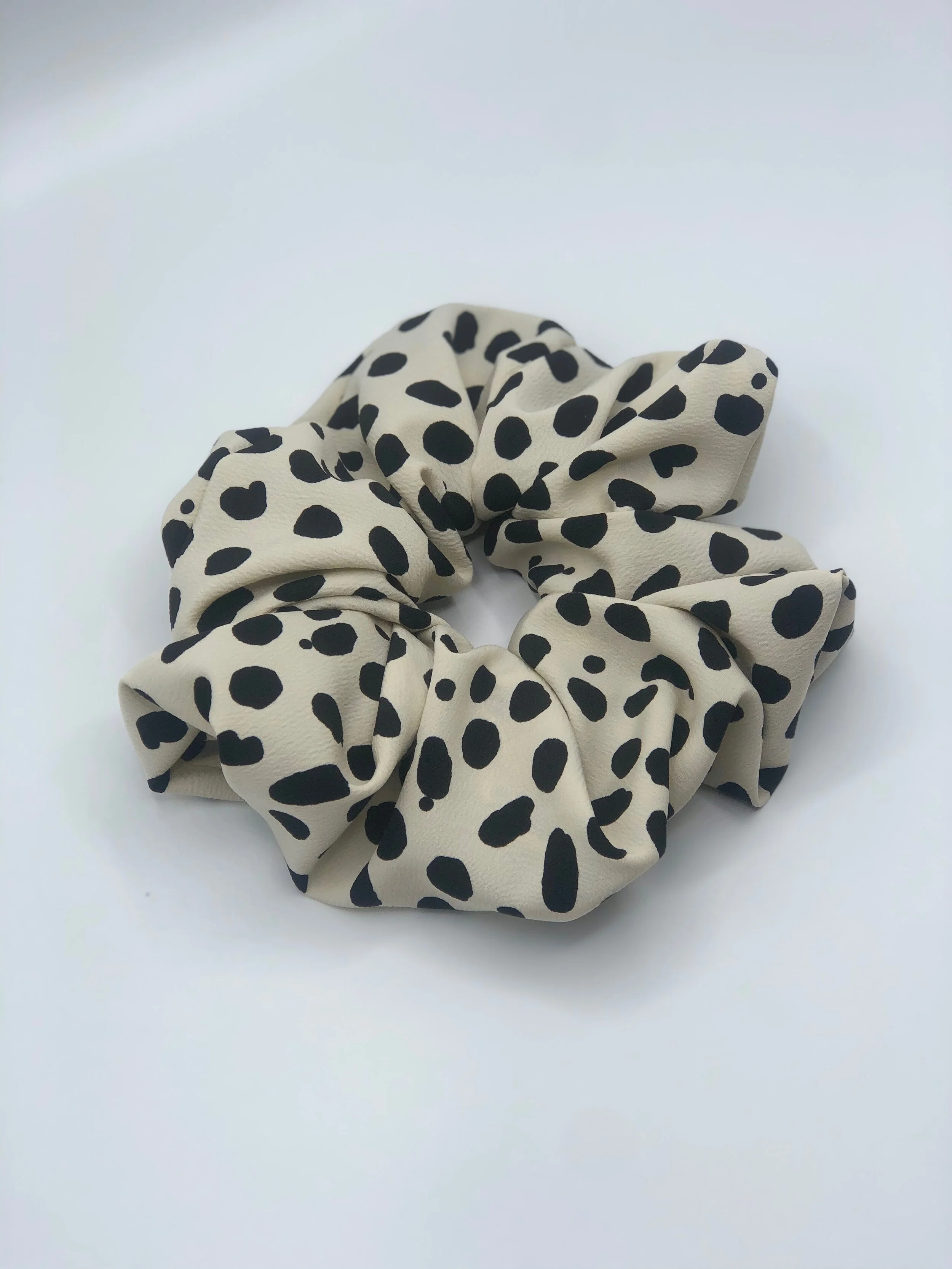 dalmation - Danielle Anthony.JPG