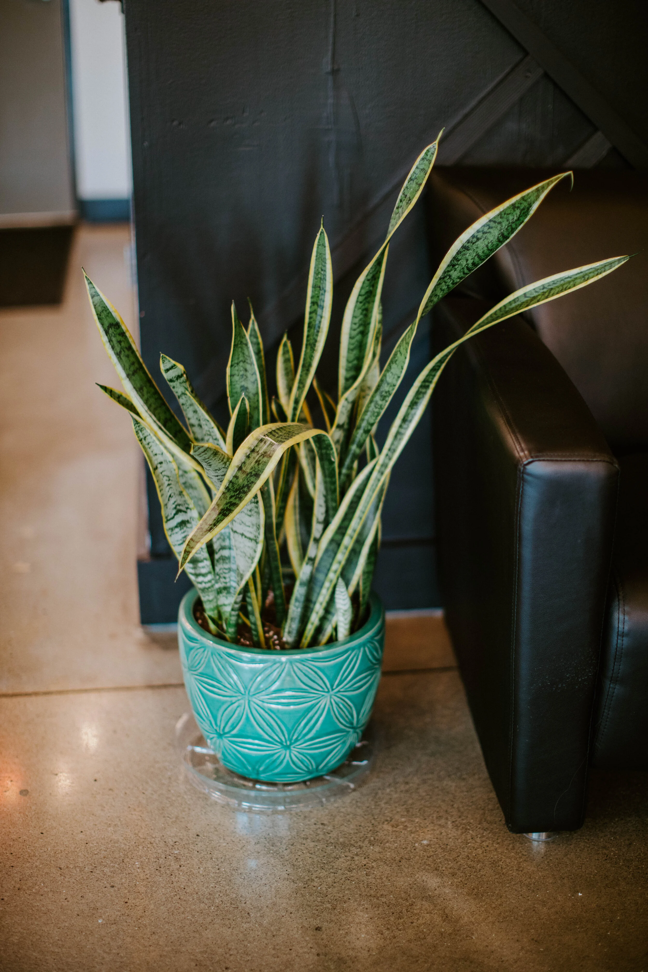 IMG_7793 - Jade Adams.jpg