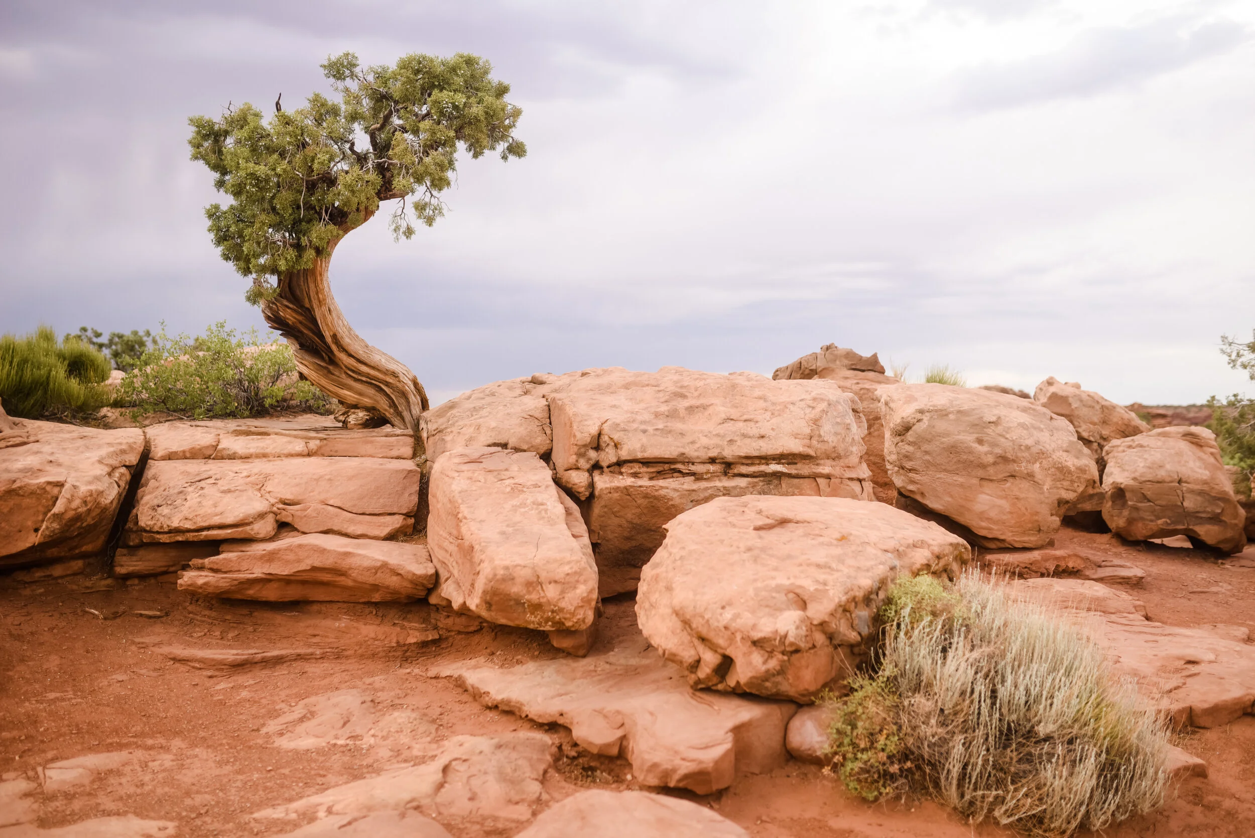 181F0548-8B6C-4303-9EC7-E011D8BF36AC - Jennie ANDREWS.jpeg