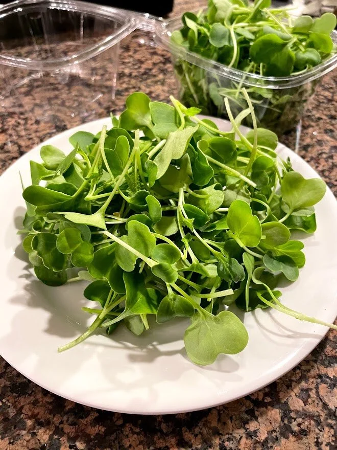 IMG_9084 - Reid Wender.jpg