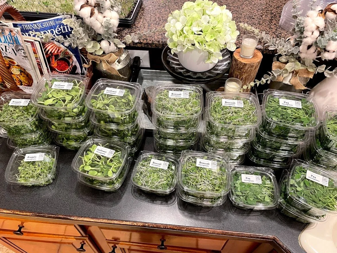 IMG_9150 - Reid Wender.jpg