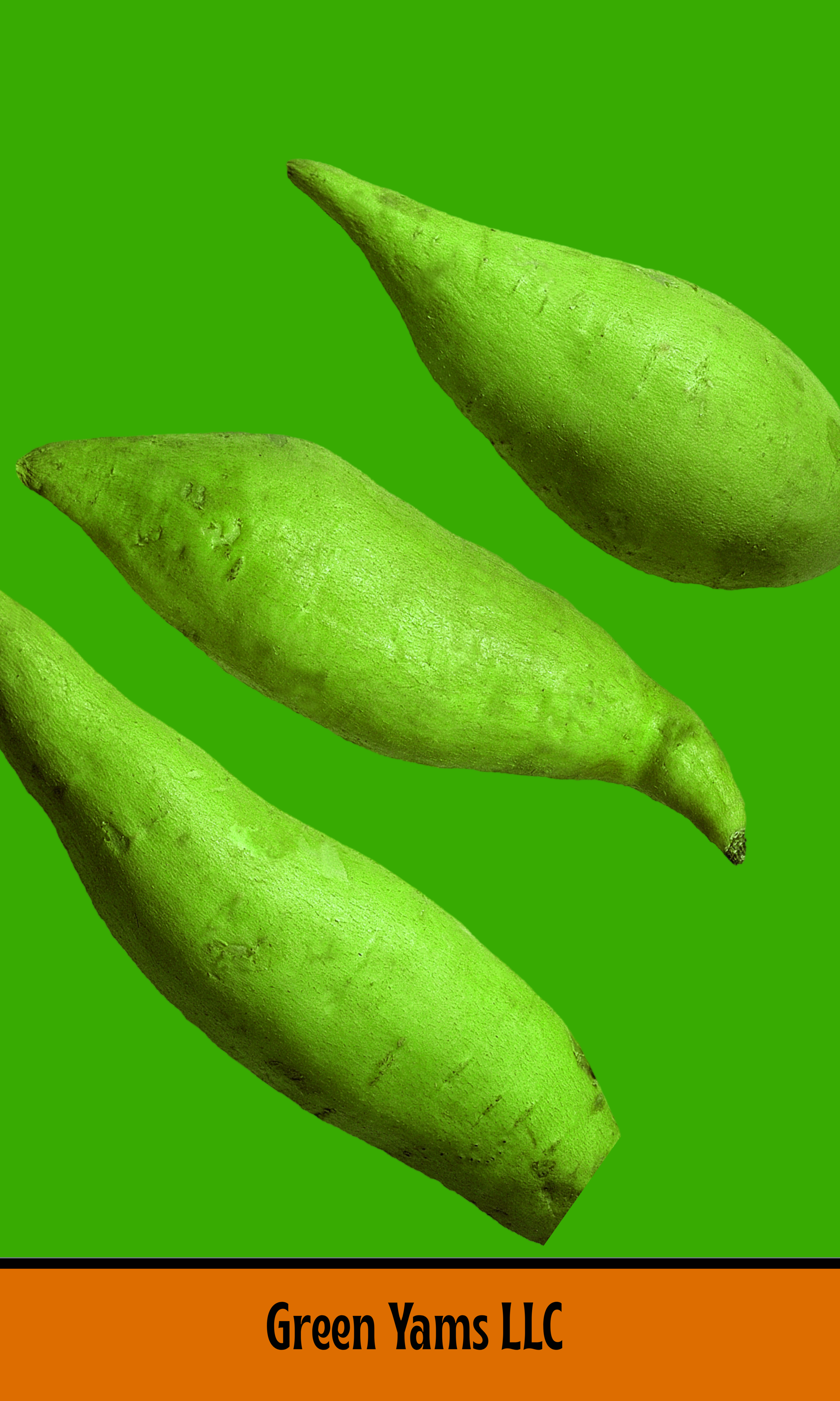 Handcrafted Earrings (6) - Megan Cook.png