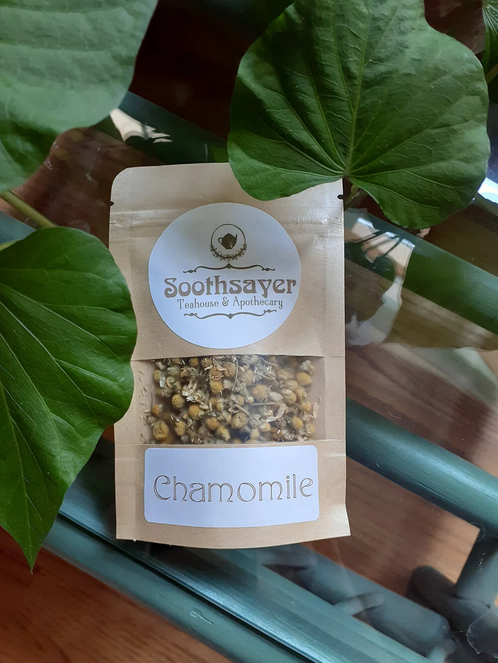 20210715_135944 - Courtney Lozano.jpg