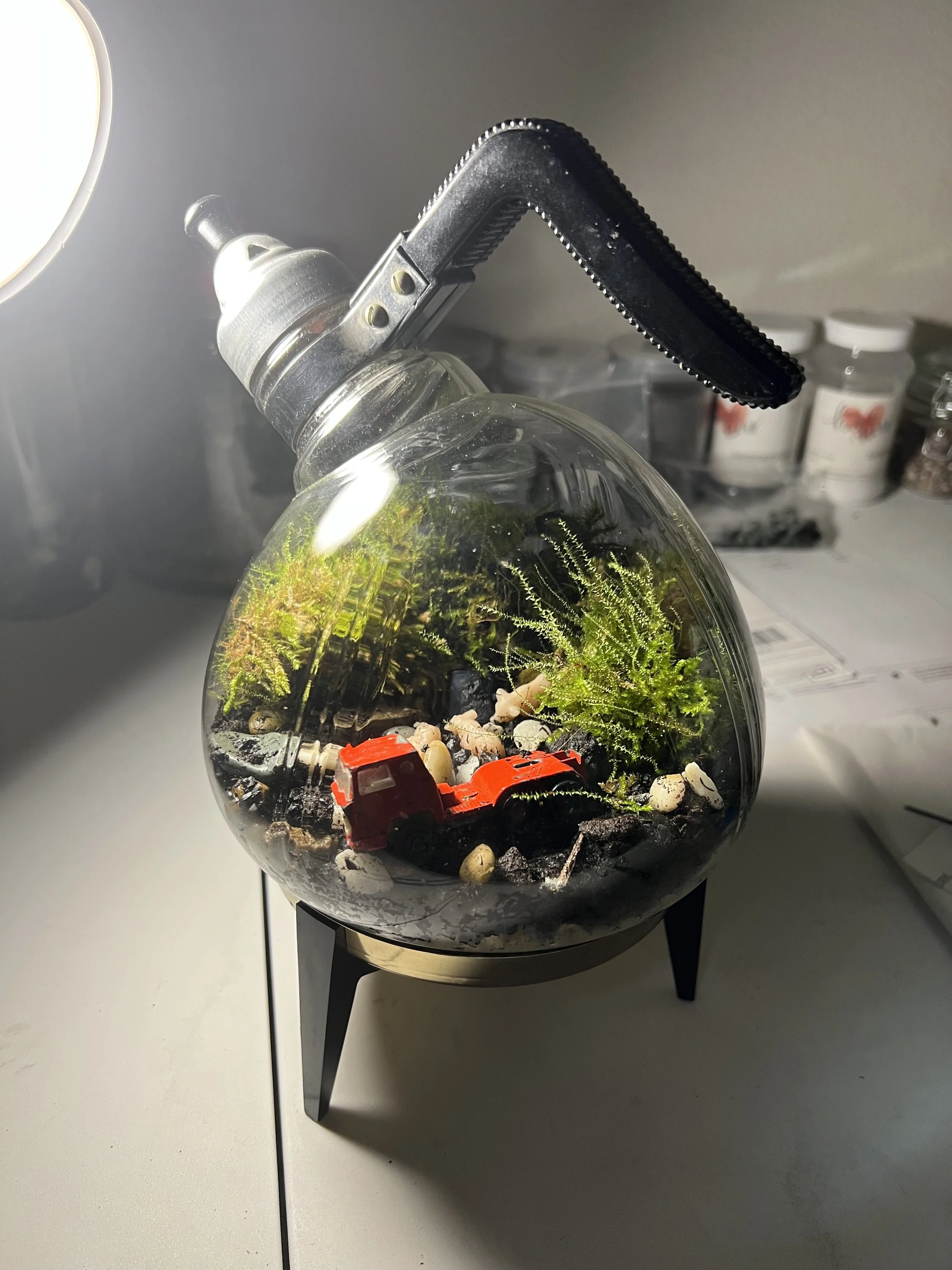 Plush Moon Terrarium Co