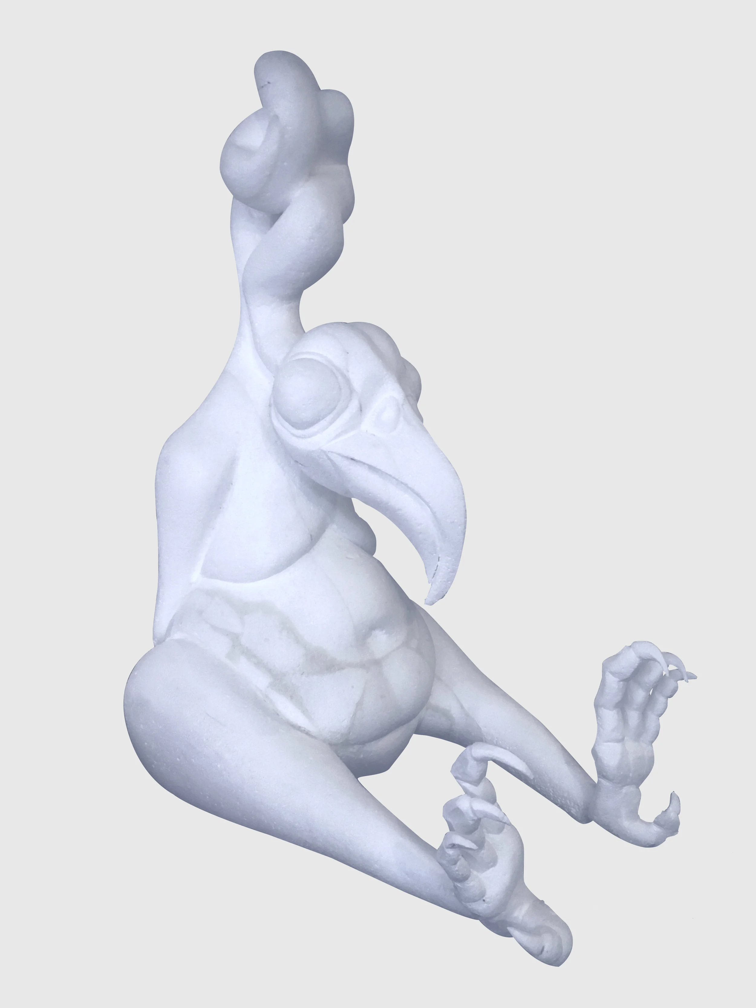 Buzzard styrofoam2.jpg