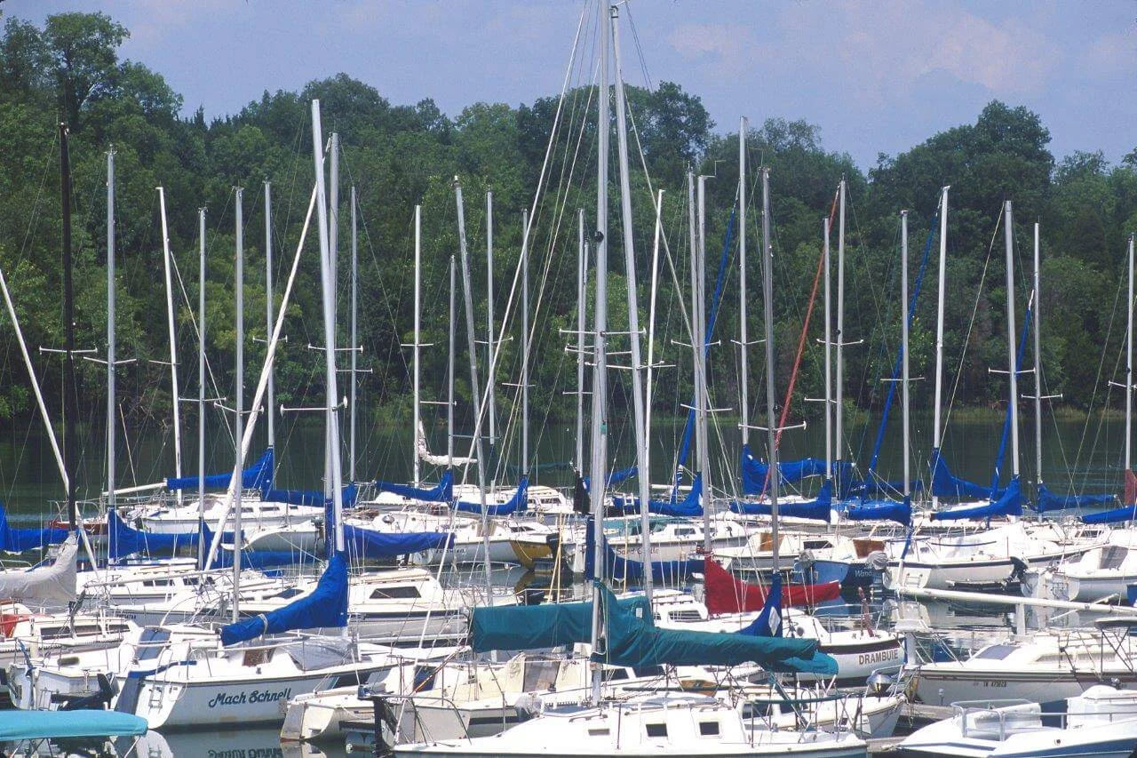 hamilton-creek-marina.jpg