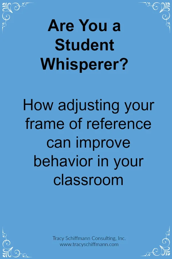 are_you_a_student_whisperer_mage_mini.jpg