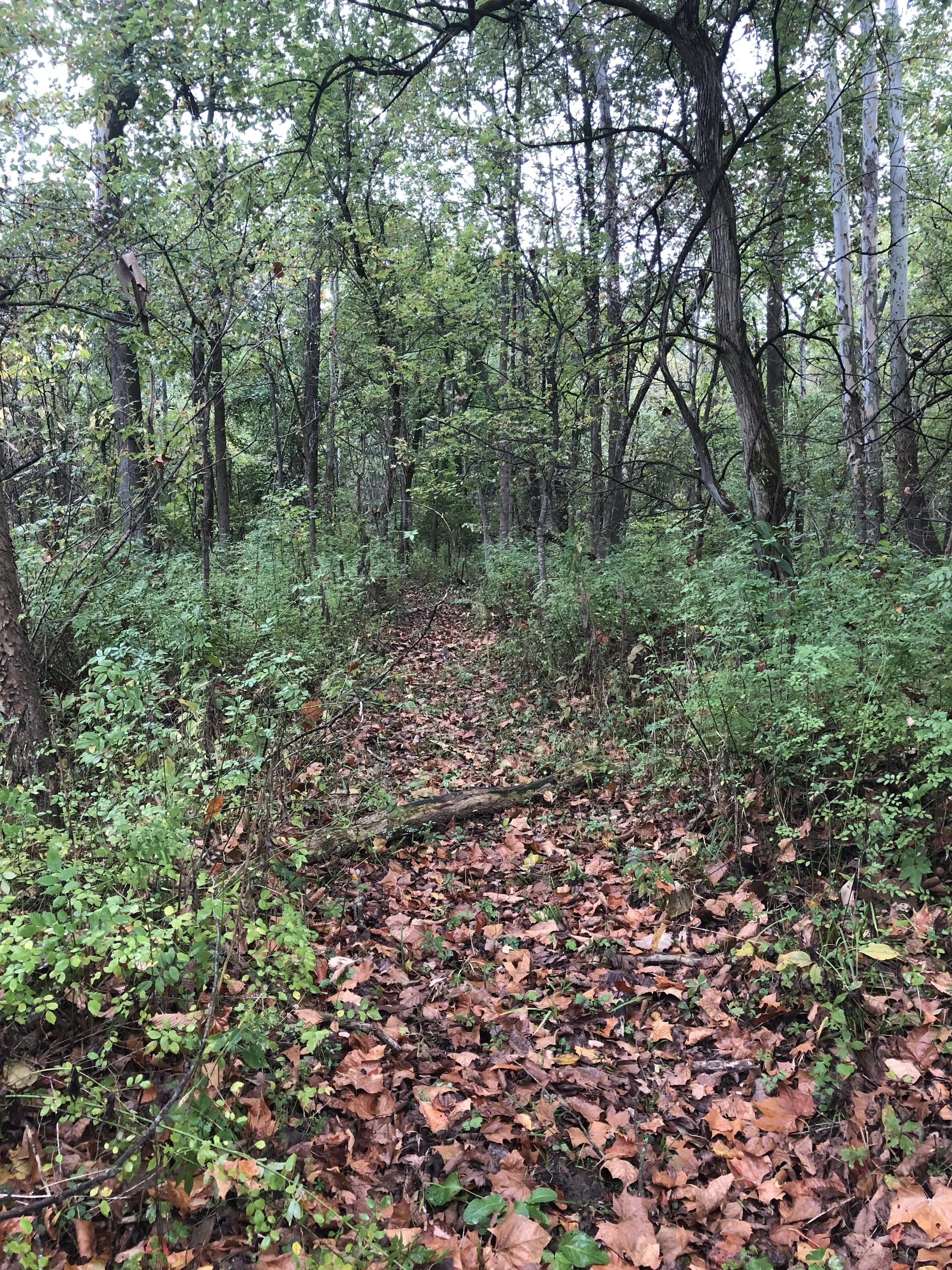 Different Approaches for Improving Stress and Anxiety