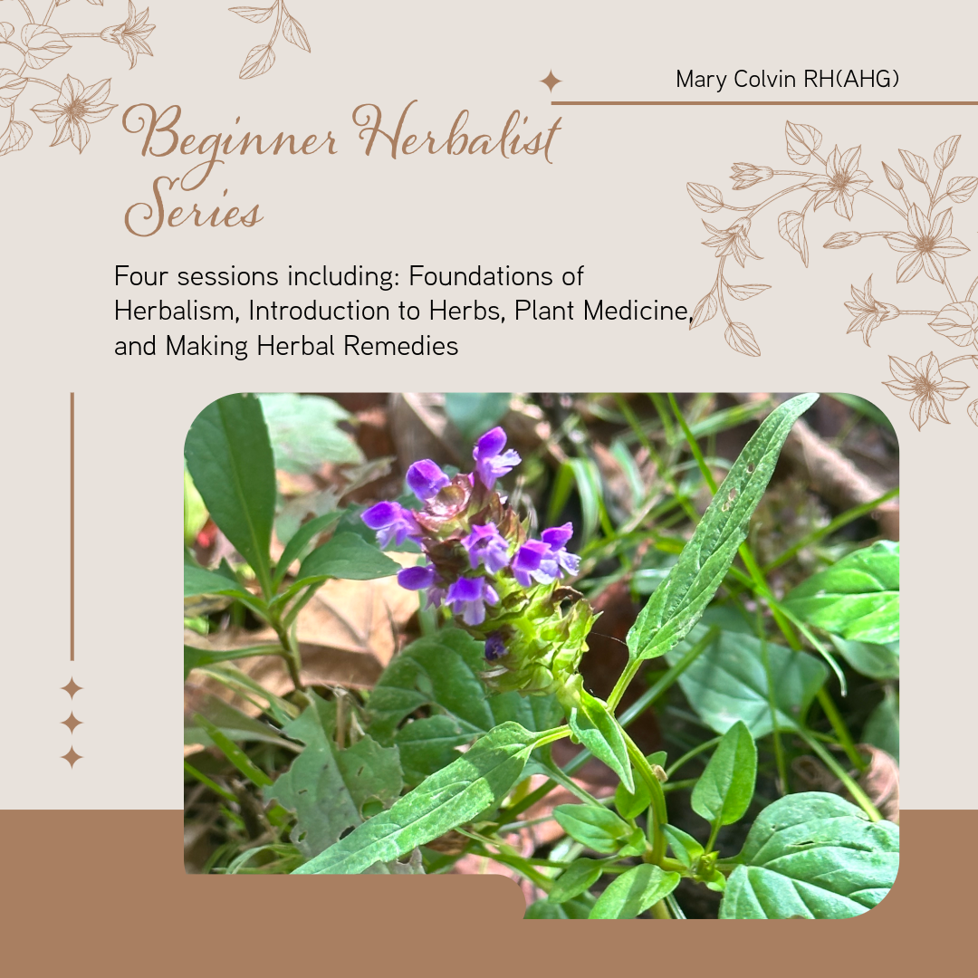 The Beginner Herbalist Series