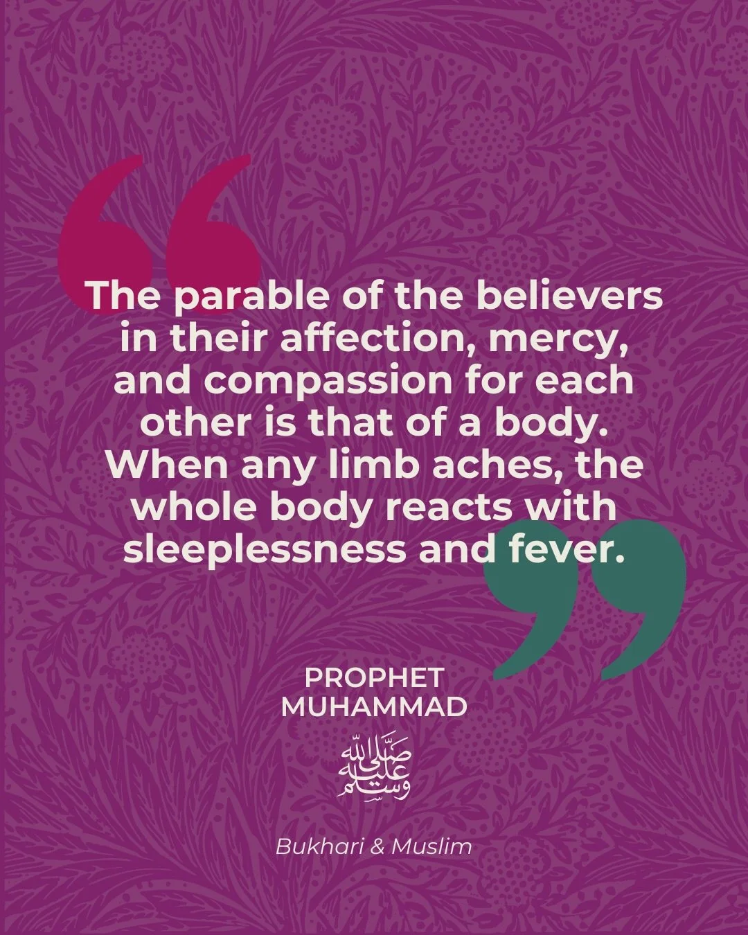 At this time when people in our community locally and globally are suffering and struggling to live lives of safety and dignity, please know that you are not alone. If you are feeling distressed by global events or feeling the difficulties and challe