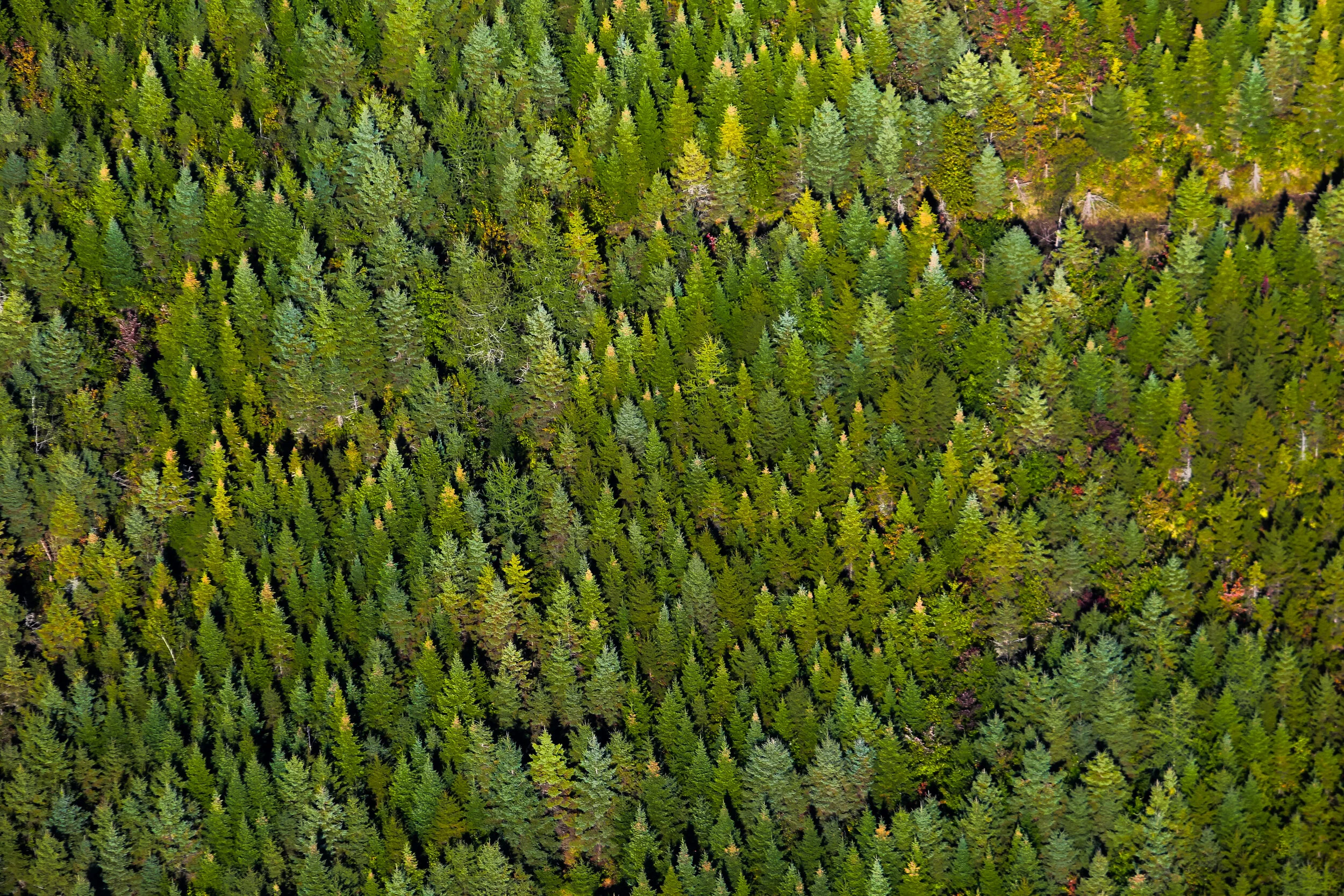 Notre réponse à NRDC en date du 15 septembre en réaction à leur rapport 