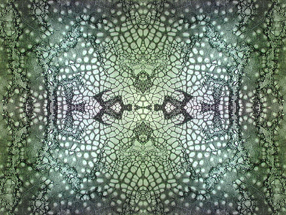 Angela Johnson AJ Meditative Photography