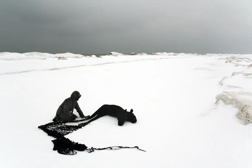 It Is Never Tomorrow, 2008