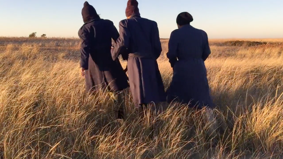 Screen Shot 2017-03-14 at 12.06.13 AM.png