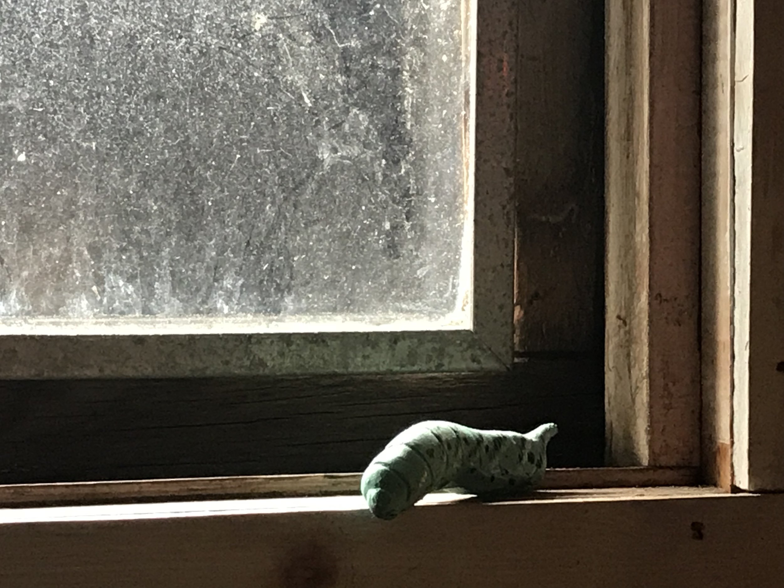 IMG_6973.jpeg