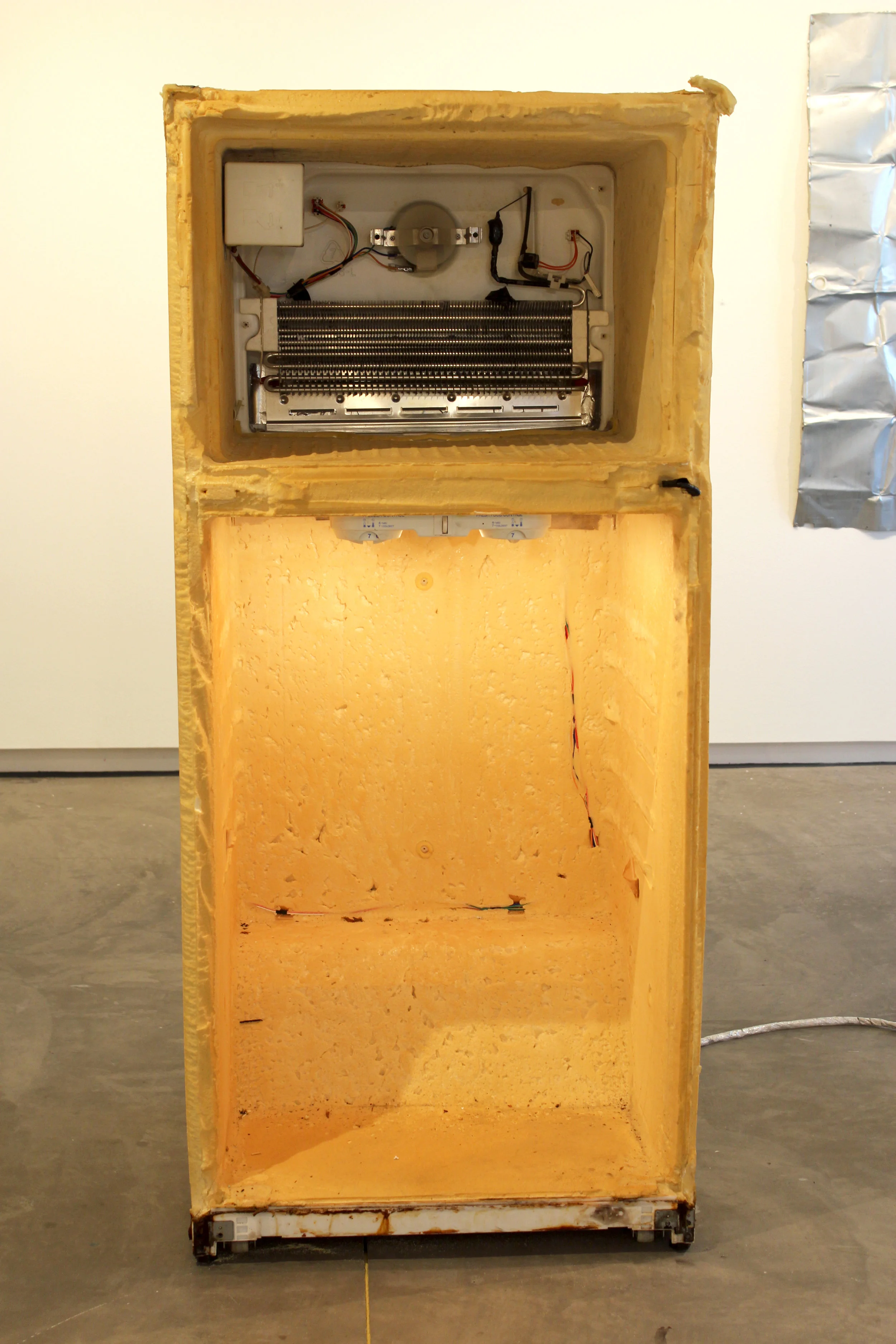 Fridge Stripped .jpg