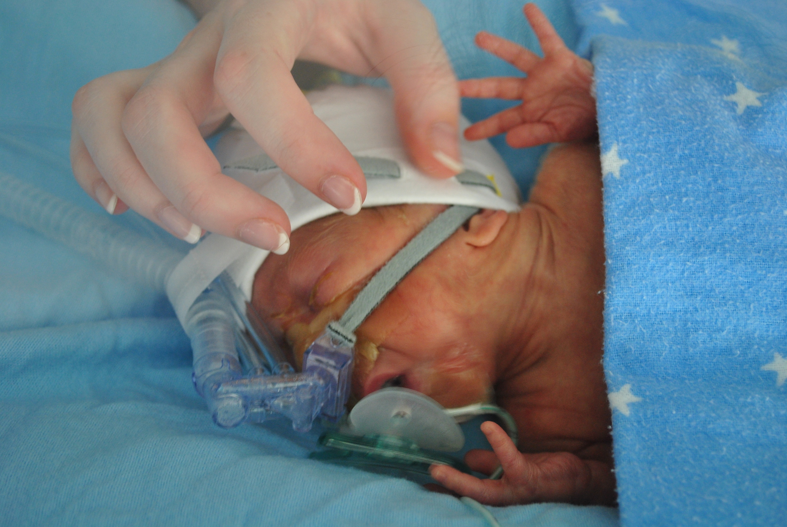 tomas 6 weeks old .JPG