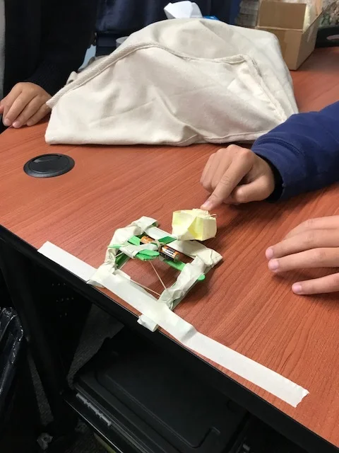 catapult2.jpg