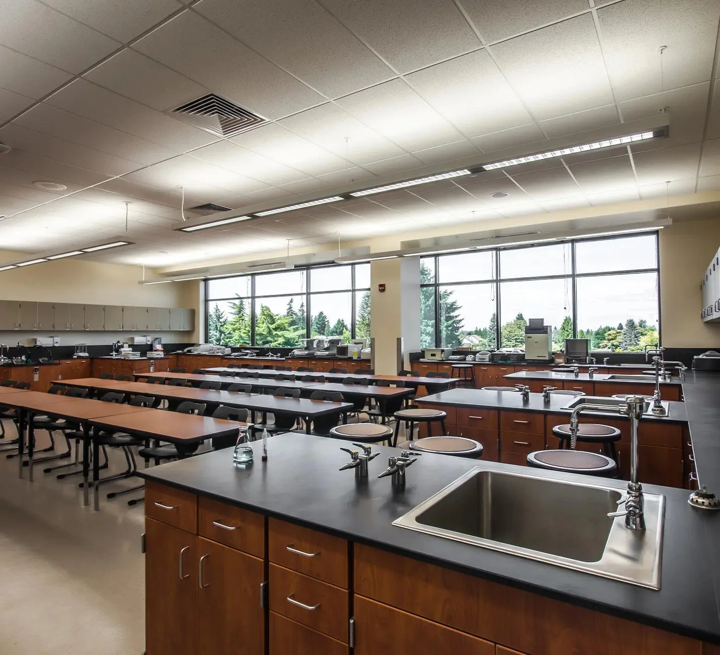 HeLa Lab 1.jpeg