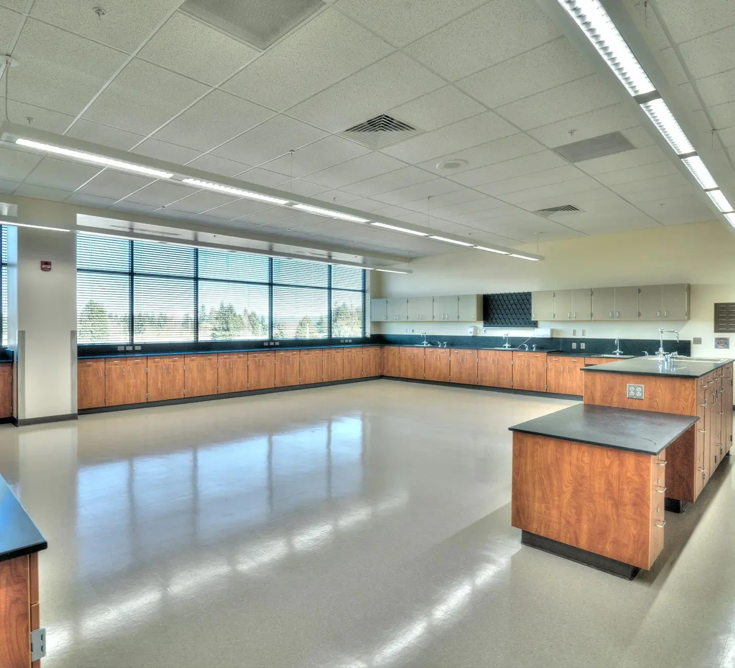 HeLa Lab 2.jpeg