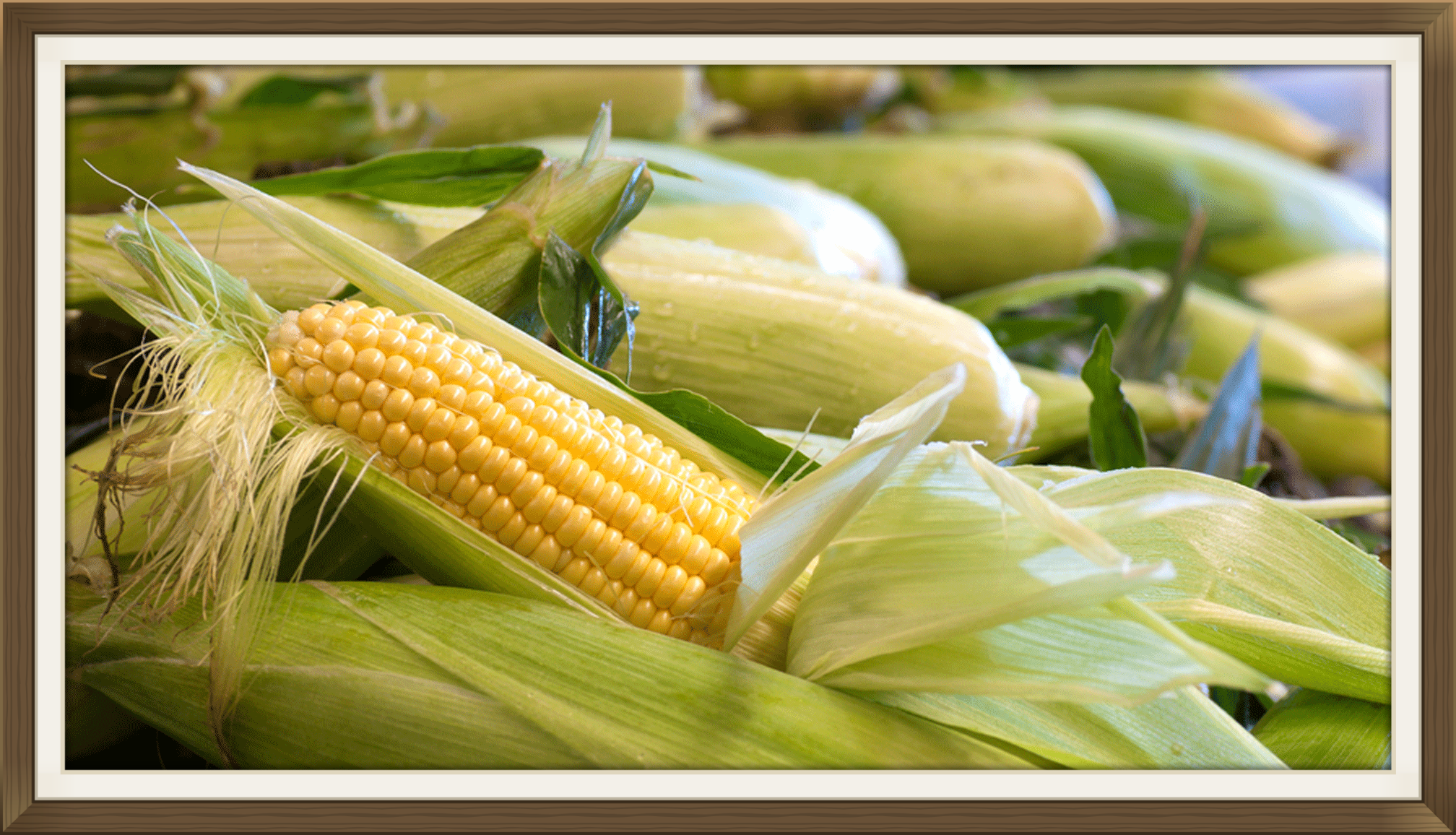 From Apricots to Zucchini, we carry only the freshest produce for your enjoyment and good health.