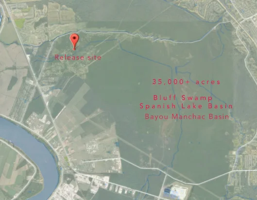 Here is a map of the area, with an overlay showing some of the the bayou system, which provides a great dispersal corridor.