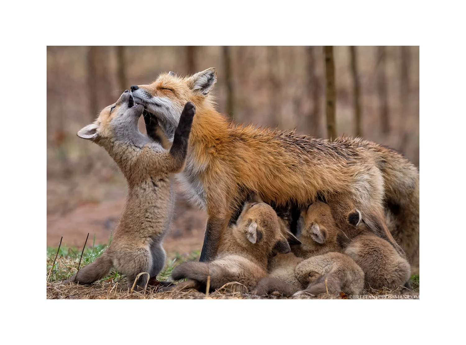 Mom-01---PrintSale03-b.jpg
