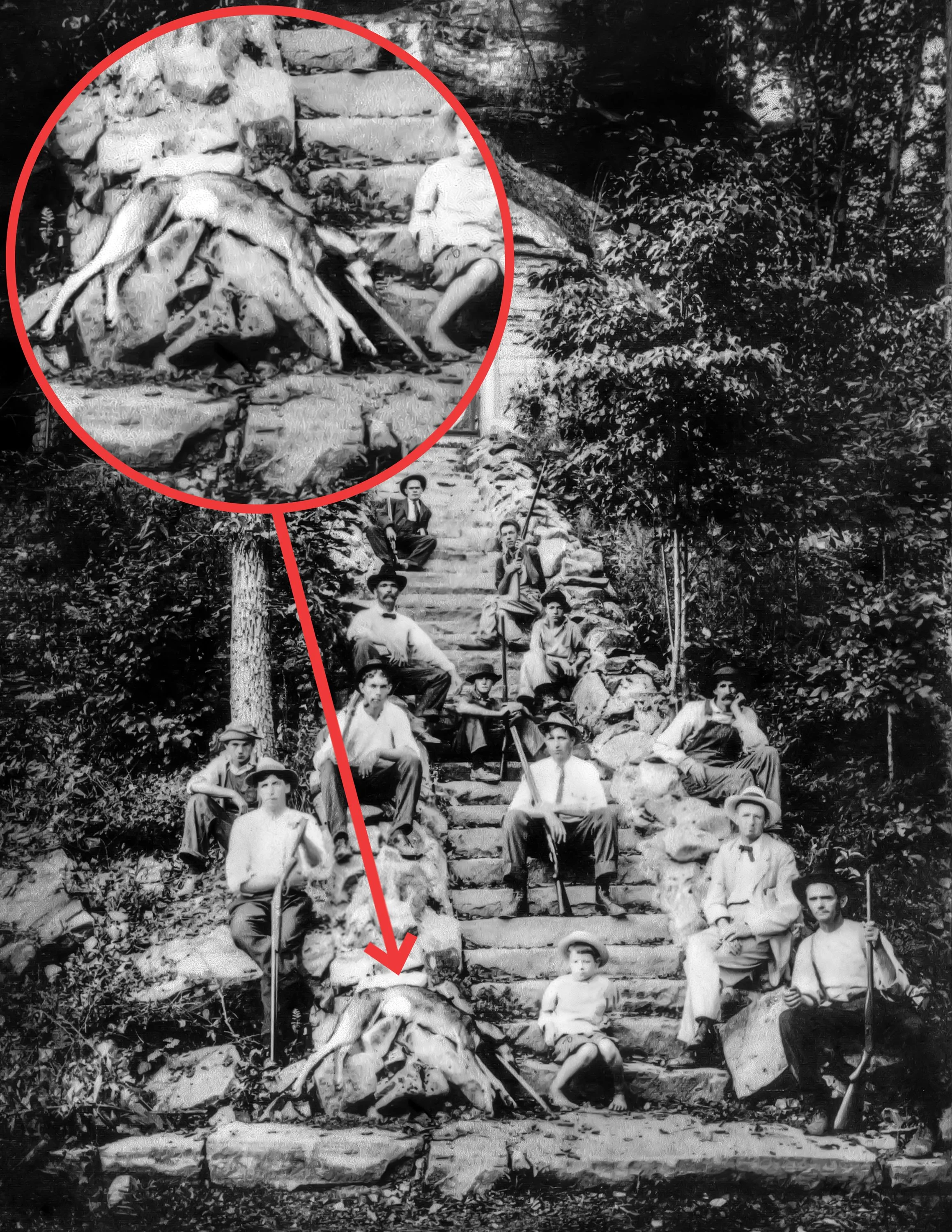 Mag-O'Rear Wolf Jasper Alabama Luis Rushing 1911-alone.jpg