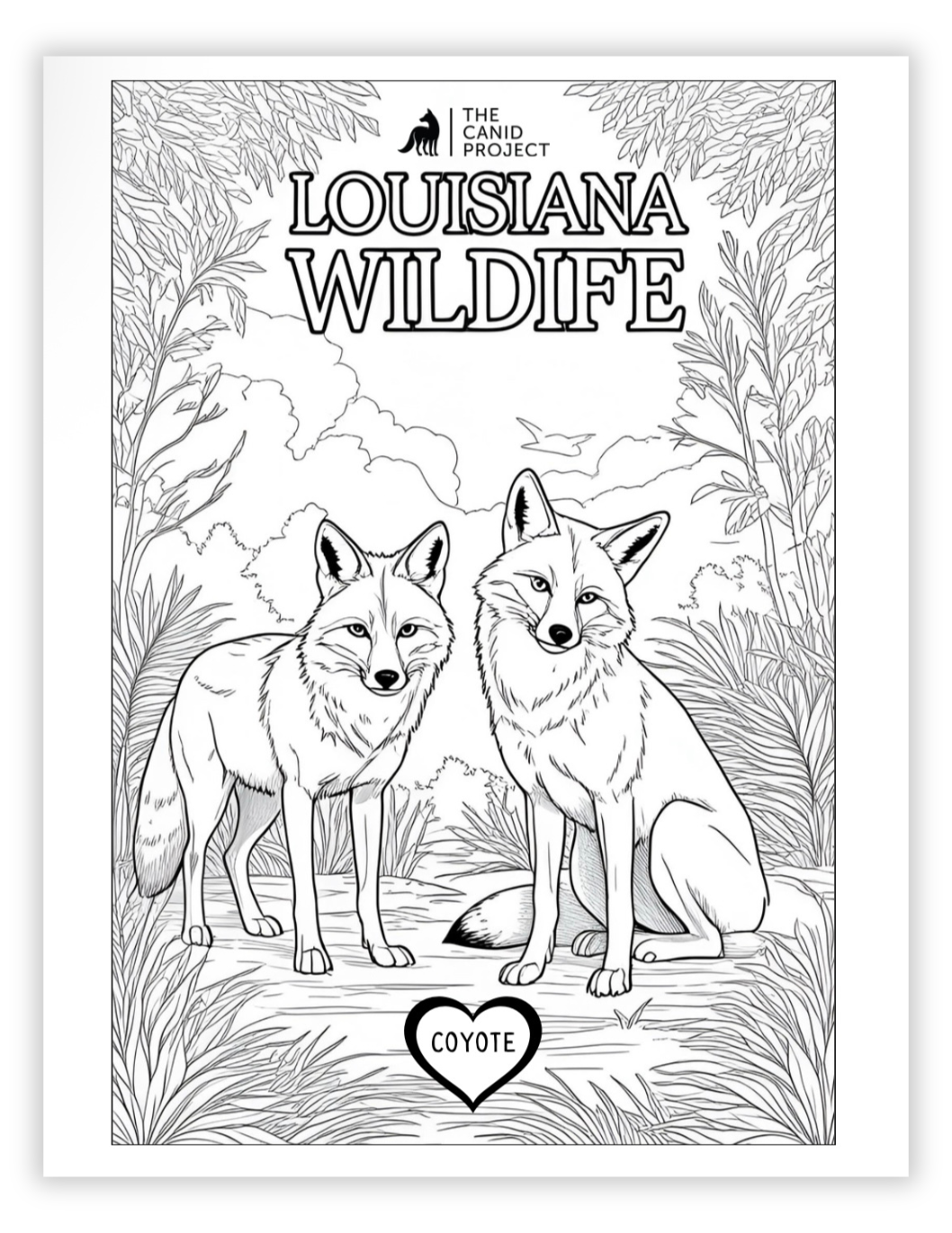Coyote Coloring Sheet