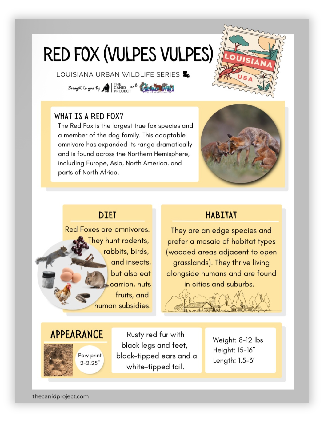 Red Fox Info Handout