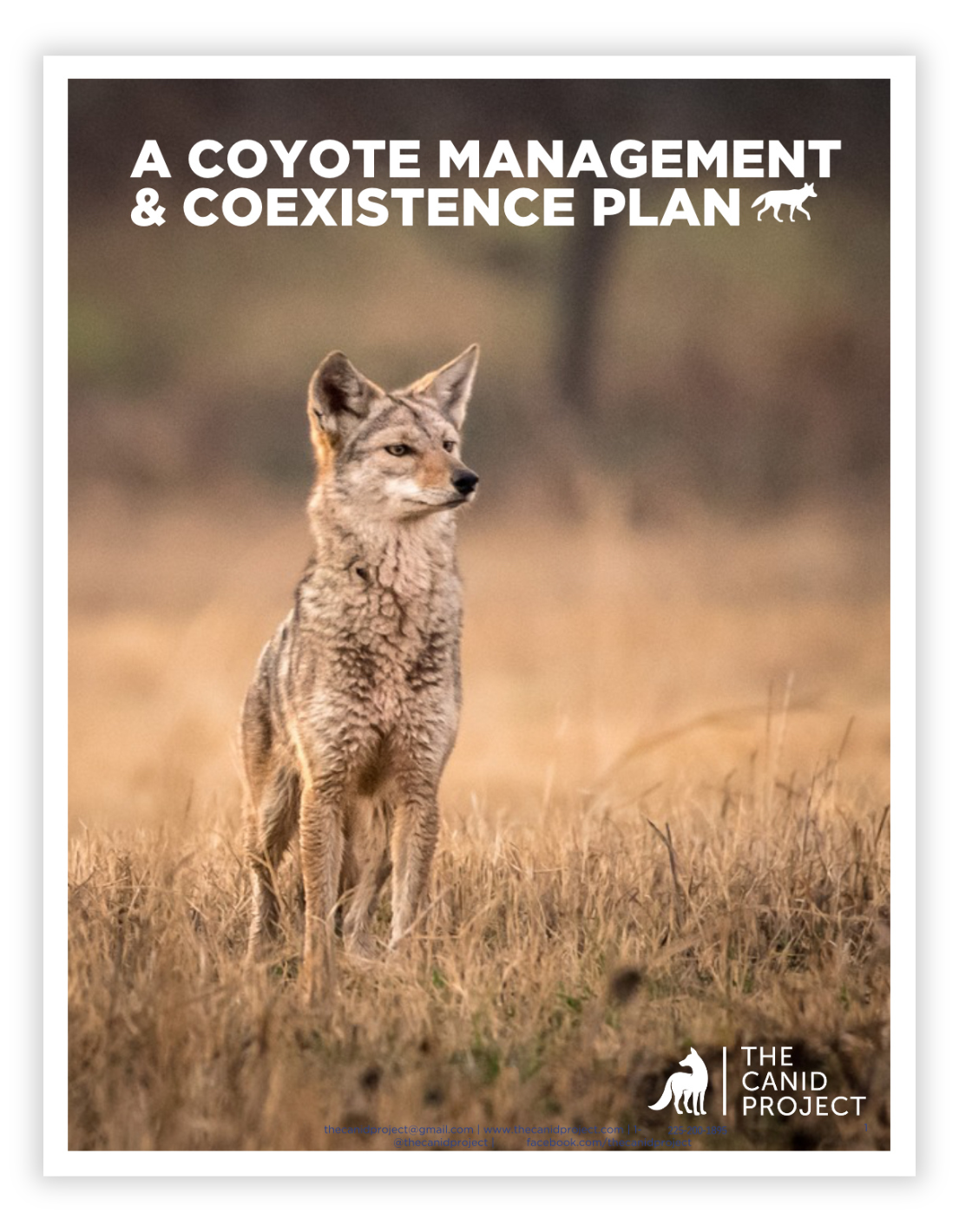 Living with Coyote PDF