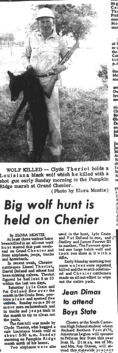 Screen Shot 2019-12-26 at 1.51.49 PM.jpeg