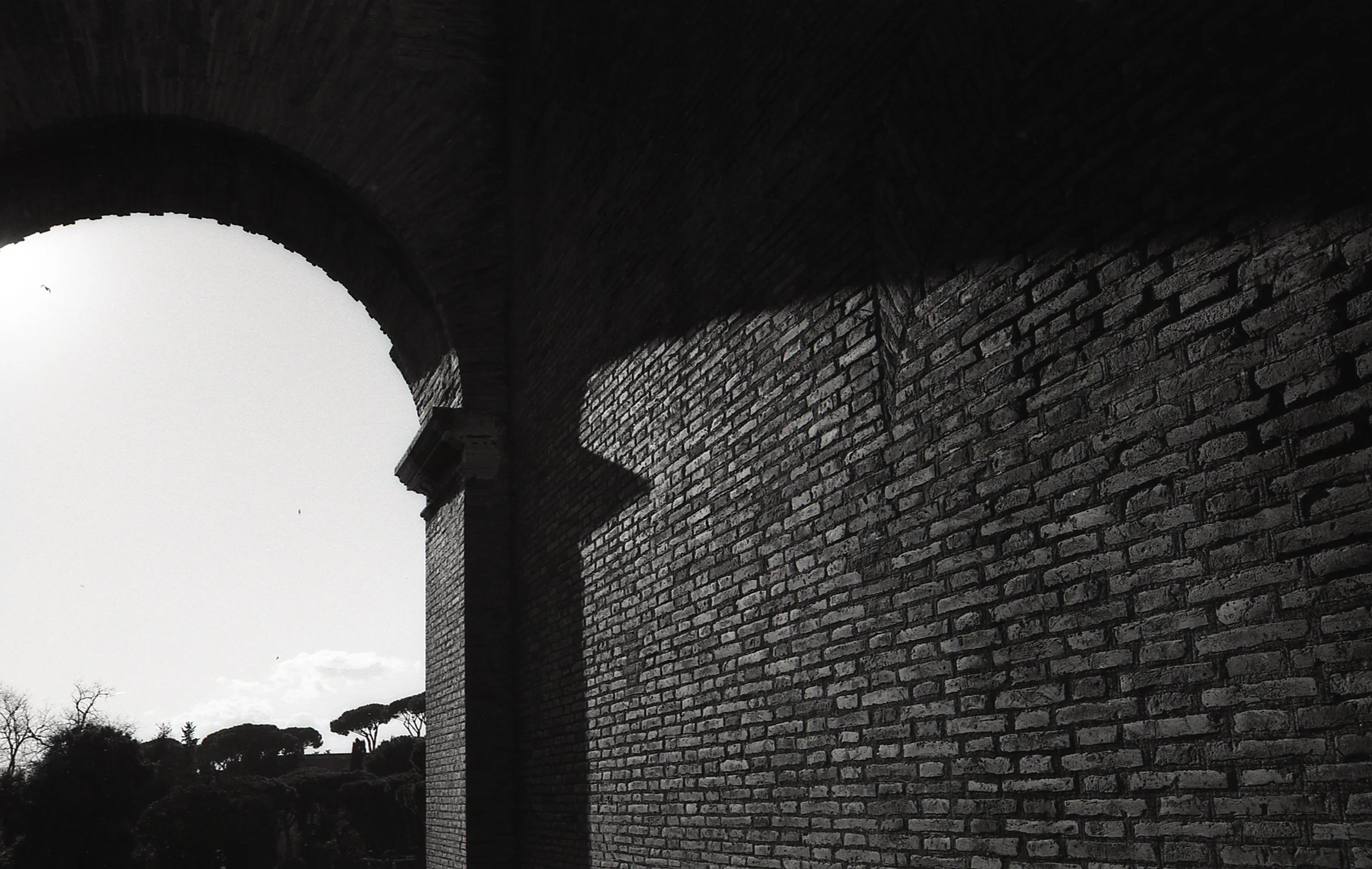 Rome, Italy / Mamiya Sekor 1000 dtl / Rollie Blackbird 100